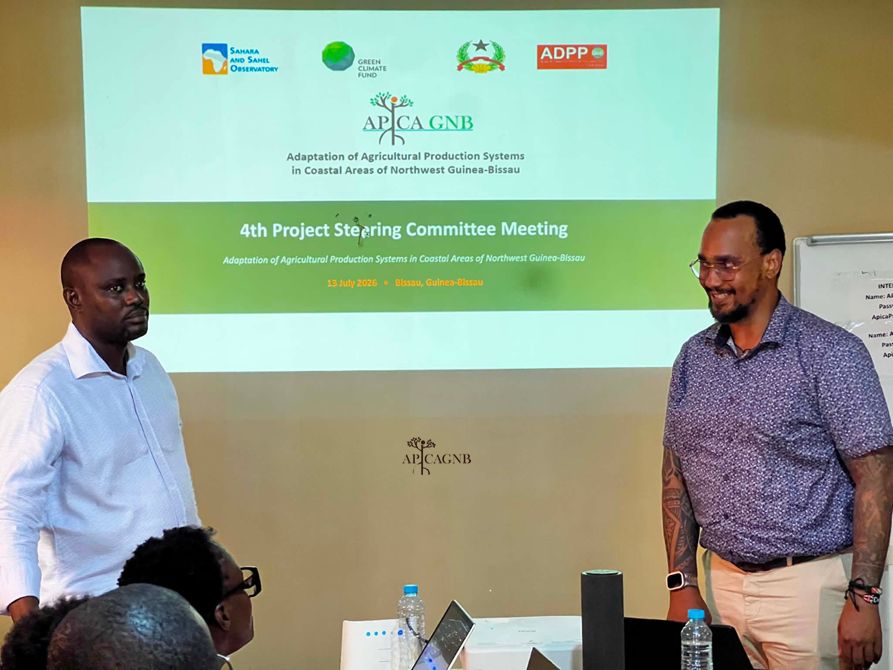 4.ª REUNIÃO DO COMITÉ DE PILOTAGEM DO PROJETO APICA GNB 2