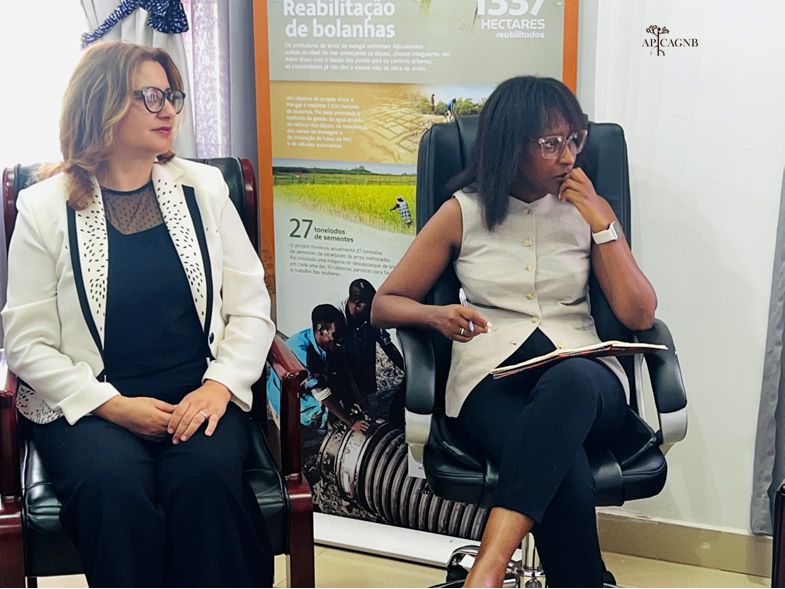 APIVA GNB VISITA DE CORTESIA AO MINISTRO DO AMBIENTE E AÇÃO CLIMÁTICA 1
