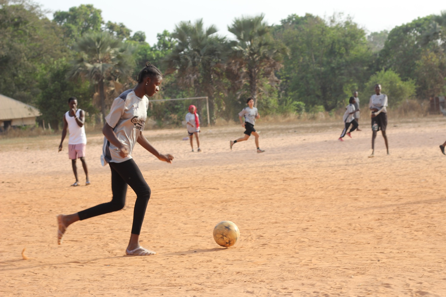 DNS Muriel Alves Aprender Fazendo da Experiência à Liderança 1