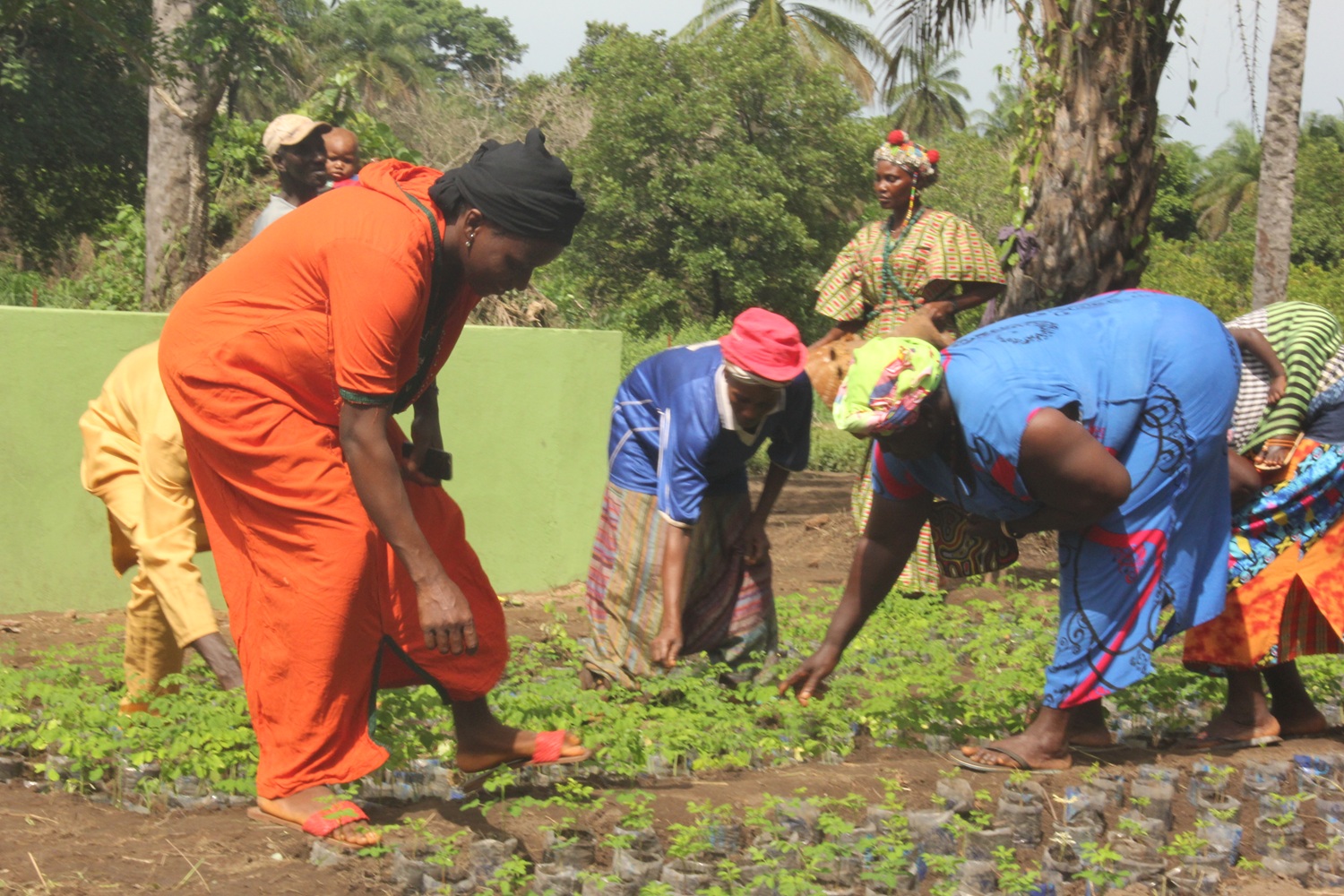 Farmers club quinara