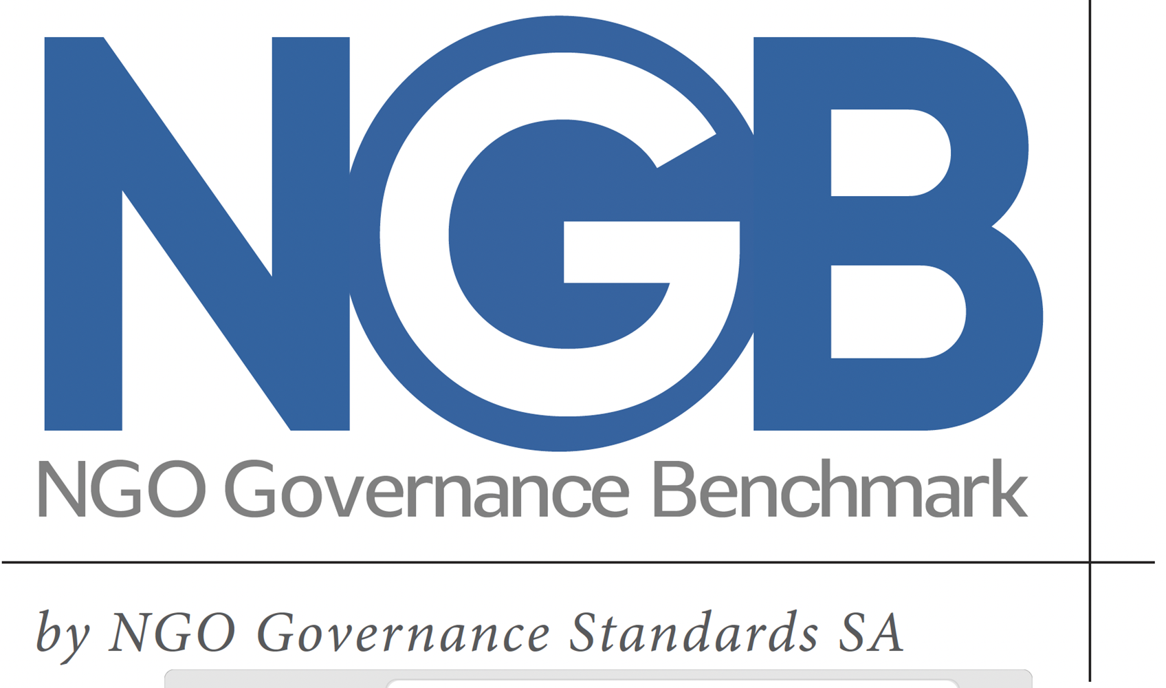 NGO Governance Benchmark 2025