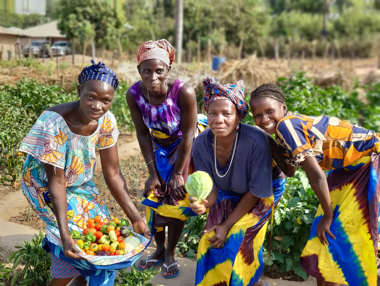 conservation farming