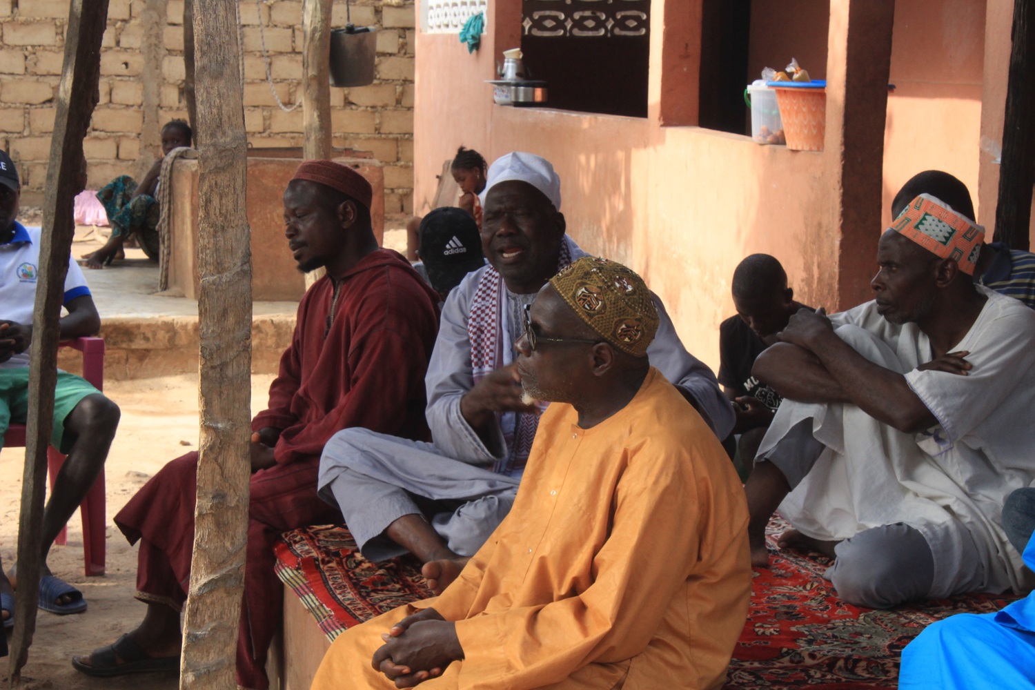 IMAPCT PROTEGER AS CRIANÇAS TALIBÉ 1