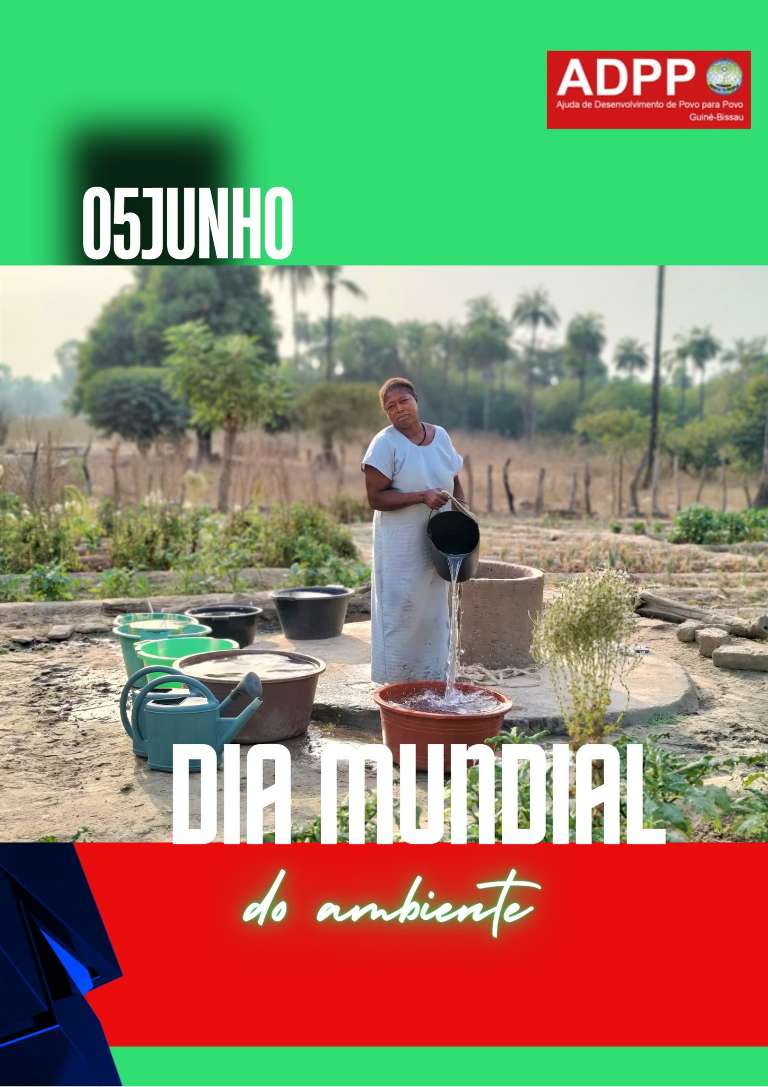 construir um futuro com responsabilidade ambiental 2