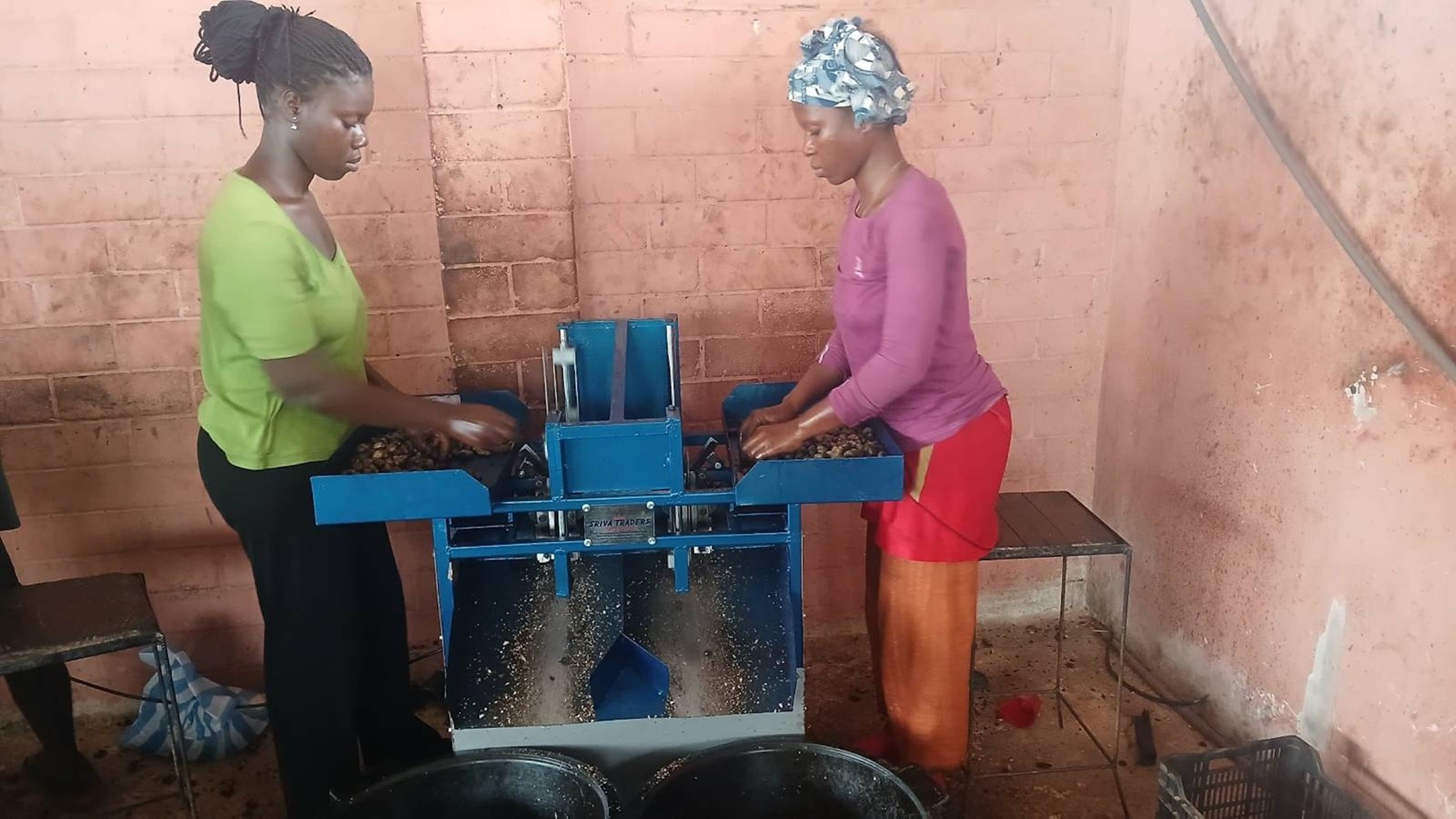 Economy and Entrepreneurship CASHEW PLANTATIONS AND CASHEW PROCESSING CENTRE