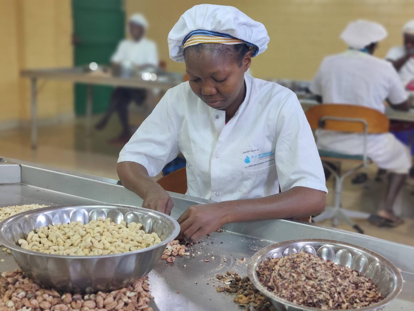 conomy Economy and Entrepreneurship CASHEW PLANTATIONS AND CASHEW PROCESSING CENTRE