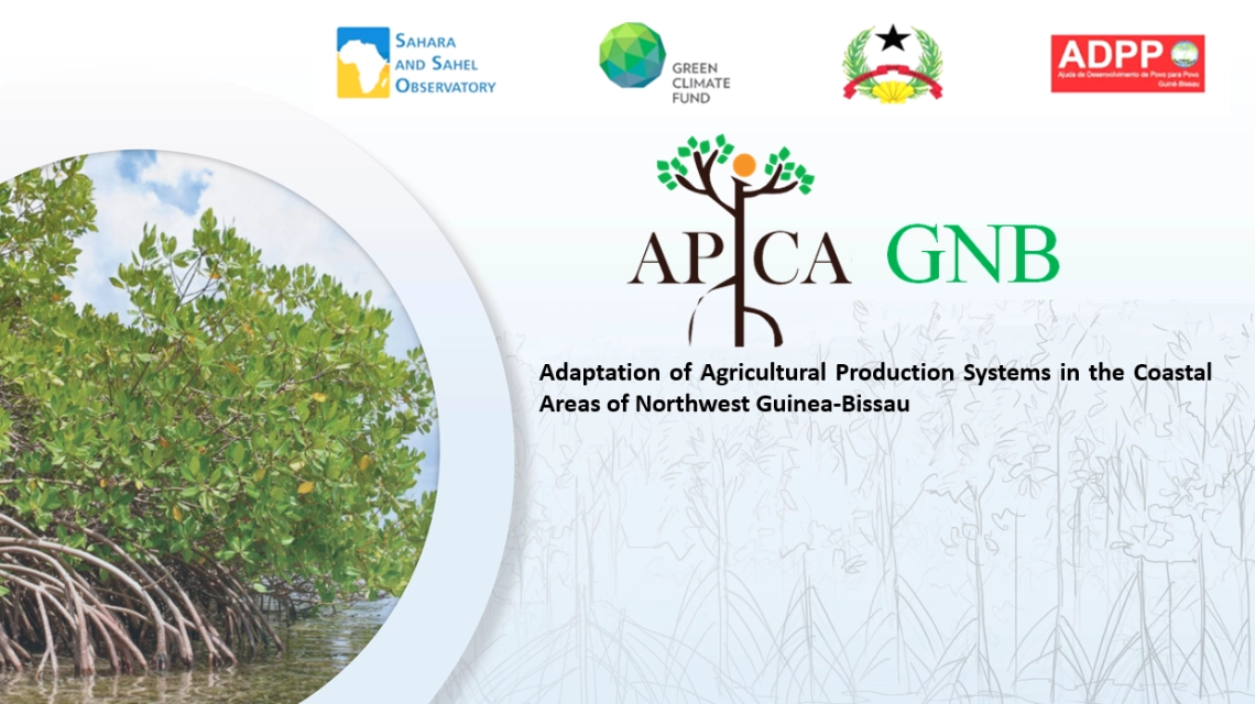 APICA GNB