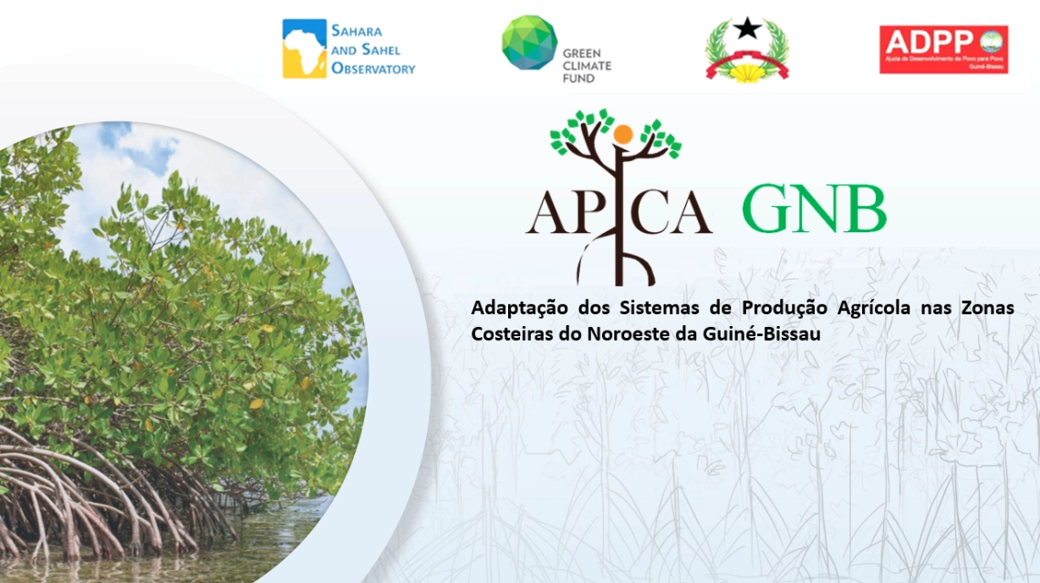 APICA GNB