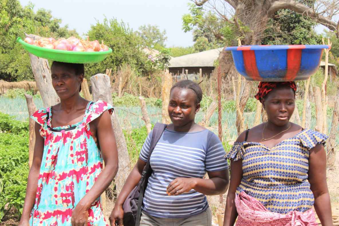 clubes de agricultores em oio cacheu
