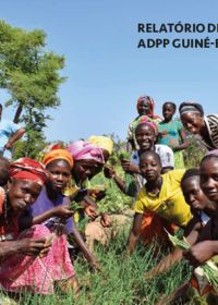 Relatórios de Progresso da ADPP Guine Bissau 2017 Port.pdf